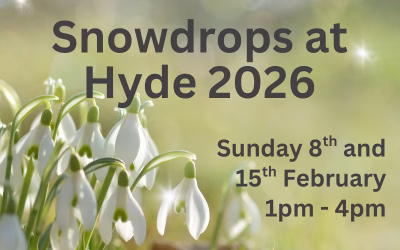 Snowdrops at Hyde – a winter wonderland for a great cause