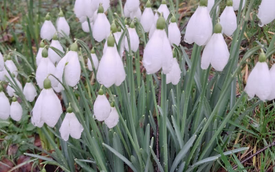 What a wonderful start to the fundraising year!